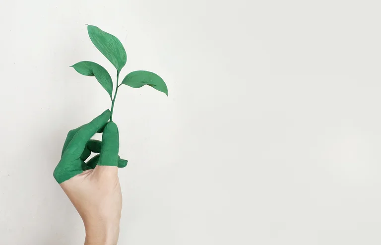 green fingers holding up a green plant for sustainable practice