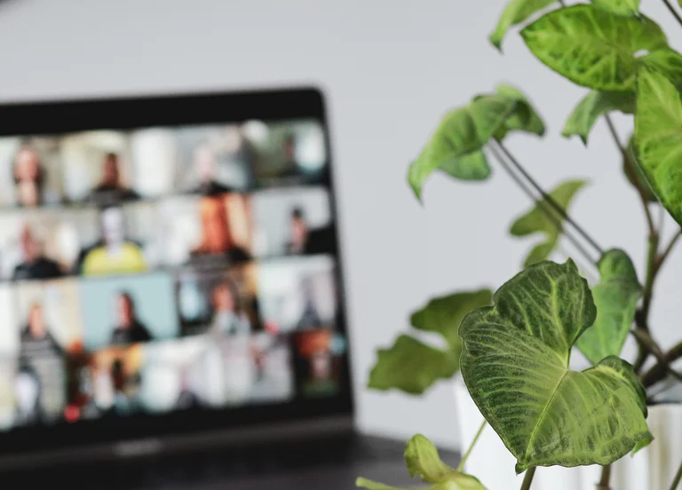 Hyrbid event with people in an online meeting on laptop with a plant in foreground 